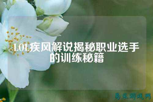 LOL疾风解说揭秘职业选手的训练秘籍