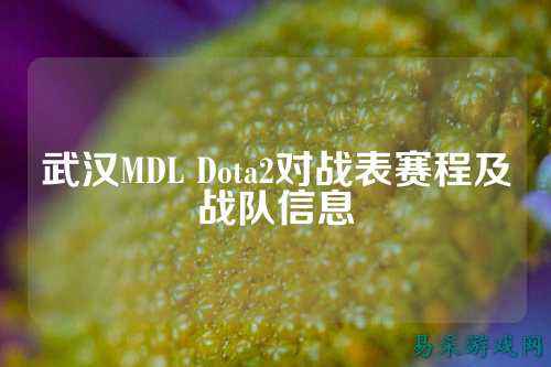 武汉MDL Dota2对战表赛程及战队信息