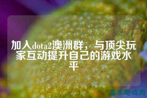 加入dota2澳洲群,与顶尖玩家互动提升自己的游戏水平
