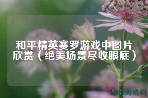 和平精英赛罗游戏中图片欣赏(绝美场景尽收眼底)