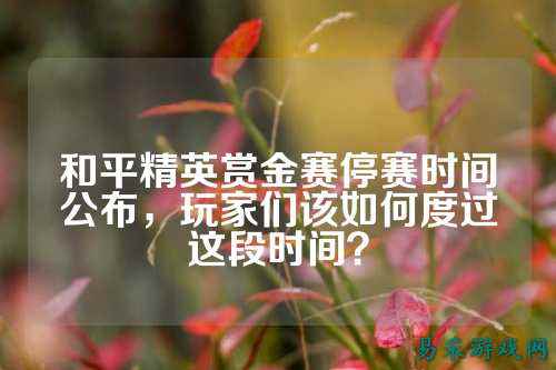 和平精英赏金赛停赛时间公布,玩家们该如何度过这段时间?