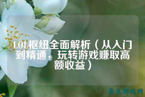 LOL枢纽全面解析（从入门到精通，玩转游戏赚取高额收益）