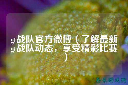 gt战队官方微博（了解最新gt战队动态，享受精彩比赛）