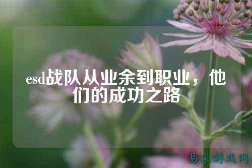 esd战队从业余到职业,他们的成功之路
