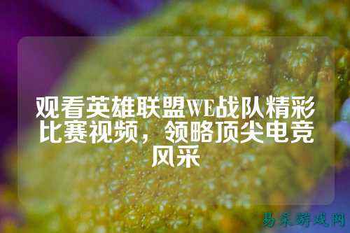 观看英雄联盟WE战队精彩比赛视频,领略顶尖电竞风采
