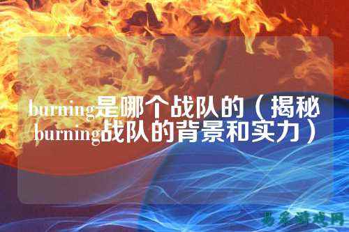 burning是哪个战队的(揭秘burning战队的背景和实力)