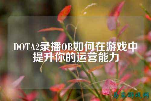 DOTA2录播OB如何在游戏中提升你的运营能力
