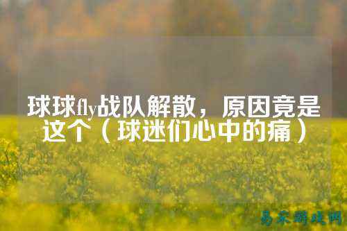 球球fly战队解散,原因竟是这个(球迷们心中的痛)
