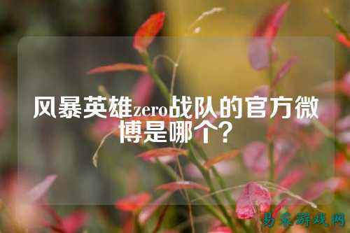 风暴英雄zero战队的官方微博是哪个?