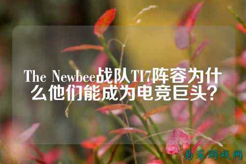 The Newbee战队TI7阵容为什么他们能成为电竞巨头?