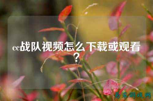 cc战队视频怎么下载或观看?