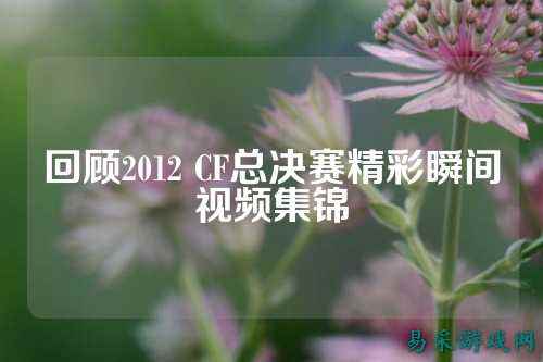 回顾2012 CF总决赛精彩瞬间视频集锦