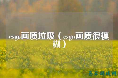 csgo画质垃圾(csgo画质很模糊)