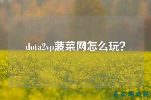 dota2vp菠菜网怎么玩?