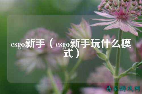 csgo新手(csgo新手玩什么模式)