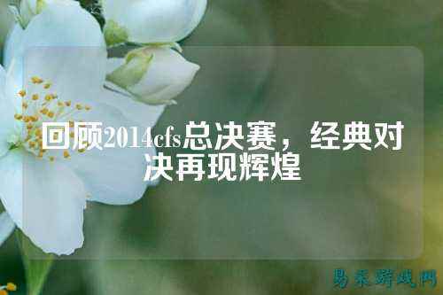回顾2014cfs总决赛,经典对决再现辉煌