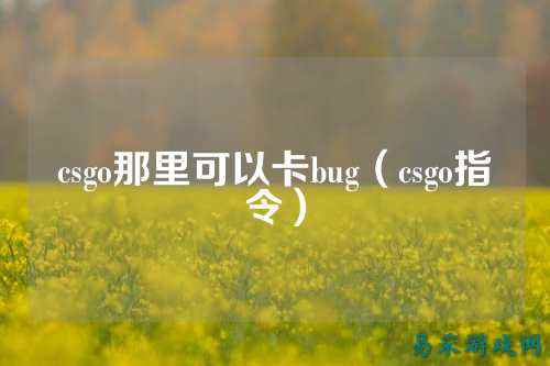 csgo那里可以卡bug(csgo指令)