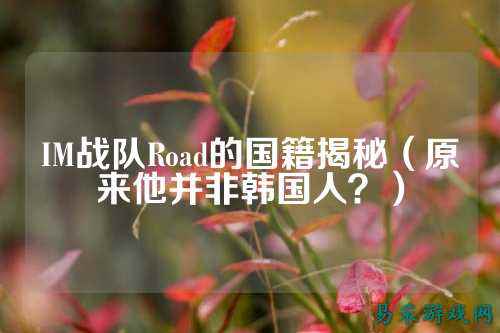 IM战队Road的国籍揭秘(原来他并非韩国人?)