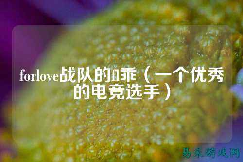 forlove战队的fl乖(一个优秀的电竞选手)