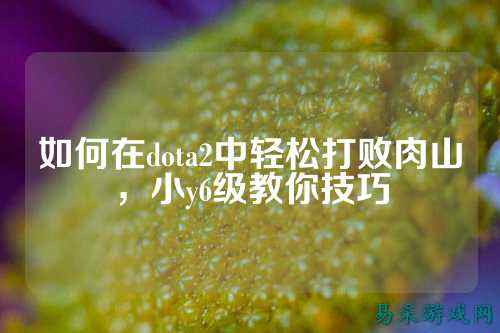 如何在dota2中轻松打败肉山,小y6级教你技巧