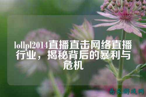 lollpl2014直播直击网络直播行业,揭秘背后的暴利与危机
