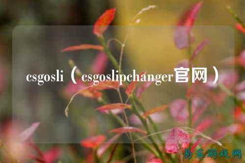 csgosli(csgoslipchanger官网)
