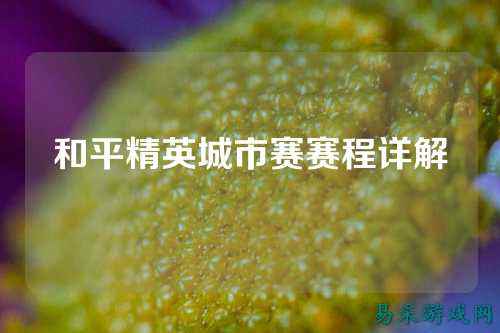 和平精英城市赛赛程详解