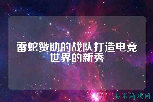 雷蛇赞助的战队打造电竞世界的新秀