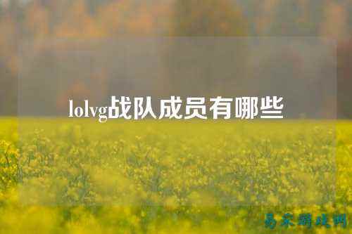 lolvg战队成员有哪些