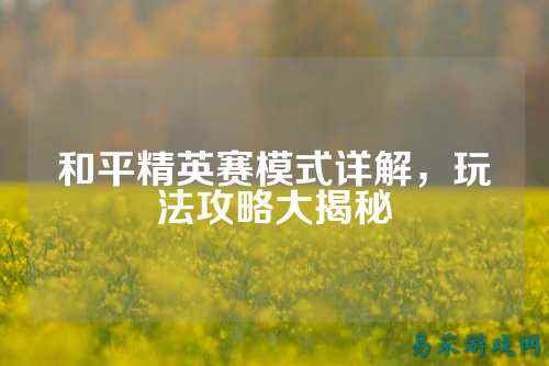 和平精英赛模式详解,玩法攻略大揭秘