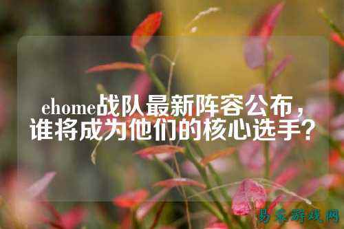 ehome战队最新阵容公布,谁将成为他们的核心选手?