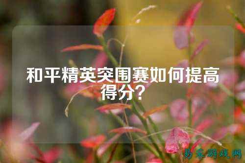 和平精英突围赛如何提高得分?