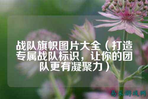 战队旗帜图片大全(打造专属战队标识,让你的团队更有凝聚力)
