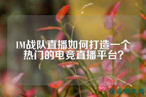 IM战队直播如何打造一个热门的电竞直播平台?