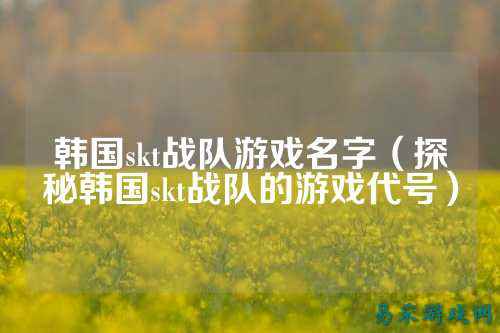 韩国skt战队游戏名字（探秘韩国skt战队的游戏代号）