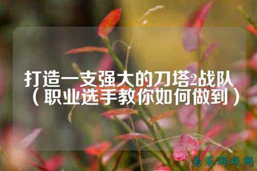 打造一支强大的刀塔2战队（职业选手教你如何做到）