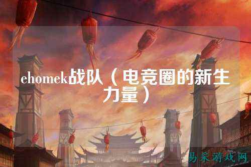 ehomek战队（电竞圈的新生力量）
