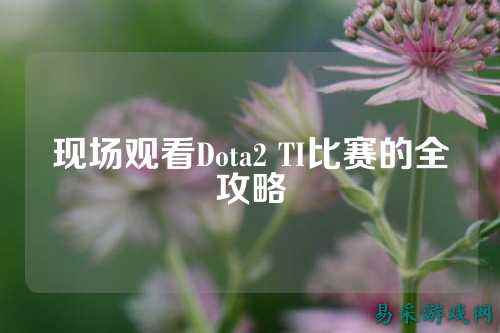 现场观看Dota2 TI比赛的全攻略