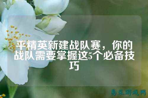 平精英新建战队赛,你的战队需要掌握这5个必备技巧