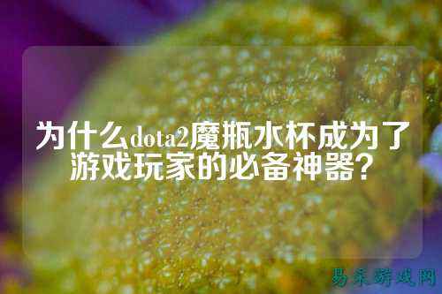 为什么dota2魔瓶水杯成为了游戏玩家的必备神器？