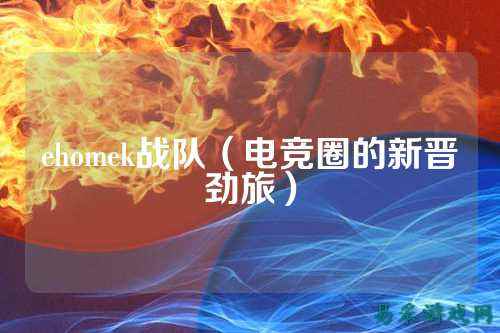 ehomek战队(电竞圈的新晋劲旅)