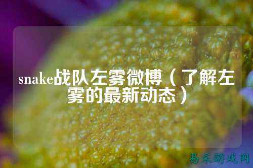 snake战队左雾微博(了解左雾的最新动态)