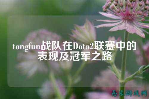tongfun战队在Dota2联赛中的表现及冠军之路
