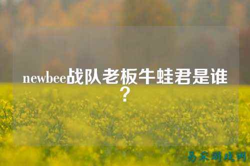 newbee战队老板牛蛙君是谁?