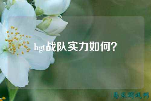 hgt战队实力如何?
