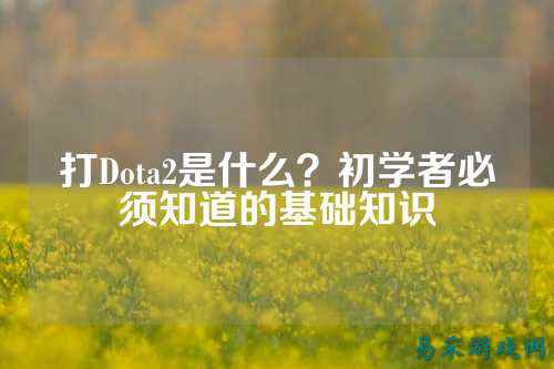 打Dota2是什么?初学者必须知道的基础知识