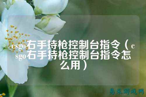 csgo右手持枪控制台指令(csgo右手持枪控制台指令怎么用)