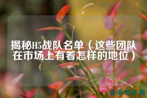 揭秘H5战队名单(这些团队在市场上有着怎样的地位)