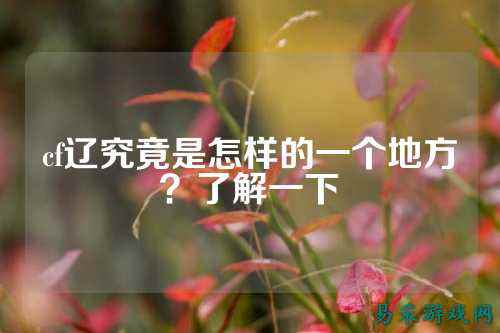 cf辽究竟是怎样的一个地方?了解一下