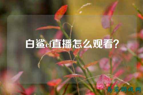 白鲨cf直播怎么观看?
